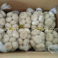 2016 Chinese New Crop Pure White Garlic